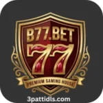 B77 Game